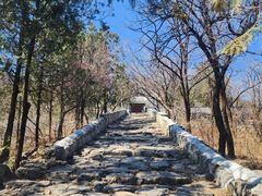 -阳台山自然风景区