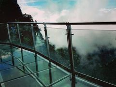 -龙峪湾国家森林公园