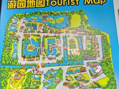 -广州长隆飞鸟乐园