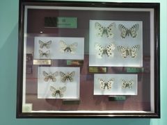 -上海昆虫博物馆