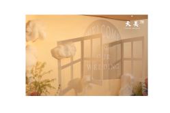 -昆山天美婚礼定制(市区店)