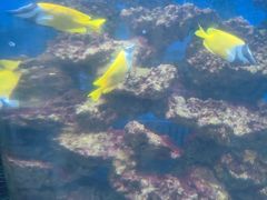 -石家庄海洋公园