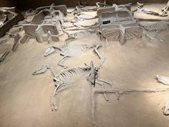 -洛阳周王城天子驾六博物馆