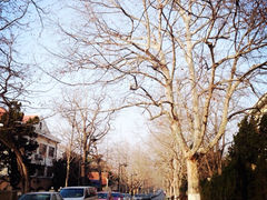iphone_upload_pic-八大关景区