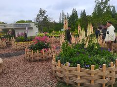 -上海植物园-4号门售票处