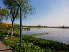 -天津东丽湖风景区