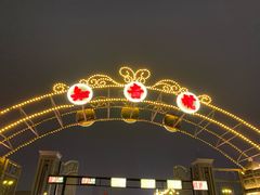 -武汉知音号