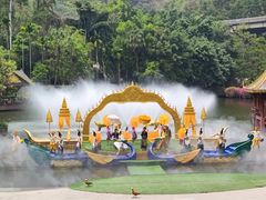 -西双版纳原始森林公园