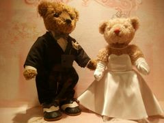 -济州岛泰迪熊博物馆