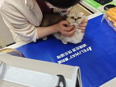 -瑞鹏宠物医院·骨外科·心肾科·肿瘤科(九亭店)