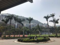 -大埔公路-马料水段香港中文大学(公交站)