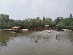 -溱湖国家湿地公园