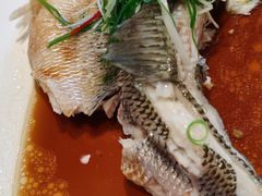 -羊门客在·烤盐池滩羊·川菜