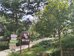-云峰山自然风景区