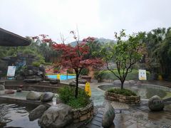 -雅安楠水阁温泉酒店