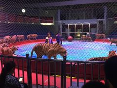 -西安秦岭野生动物园