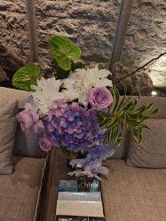 -VELEE·SPA高定疗愈会所