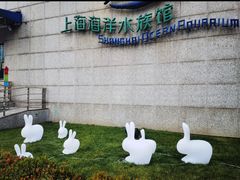-上海海洋水族馆
