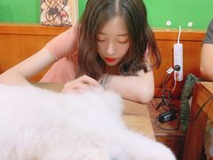 -李小姐の猫咖啡馆(五角场店)