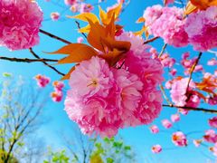 -maan coffee漫咖啡(通州店)