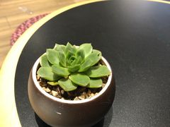 -Peet's Coffee皮爷咖啡(德基店)