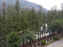 android_upload_pic-江门古兜温泉小镇
