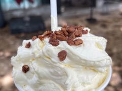 -茶颜悦色(岳麓山顶店)