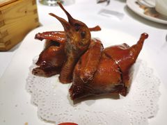 -新雅(丰盛里店)