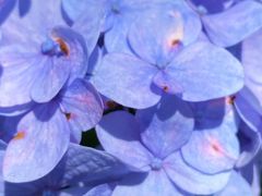 -Wagas沃歌斯(大学路店)