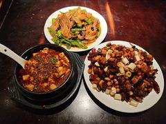 -陈麻婆豆腐总店