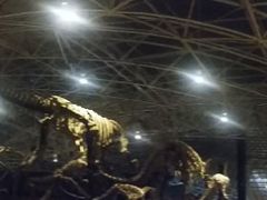 -世界恐龙谷景区