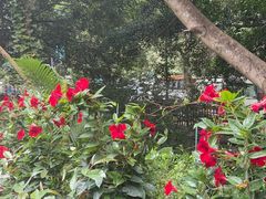 -野象谷景区