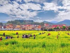 -天适樱花悠乐园