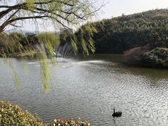 -杭州野生动物世界