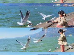 -滇池海埂公园