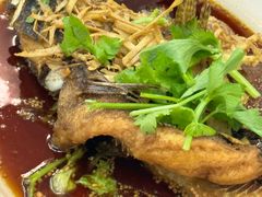 -明辉田鸡粥