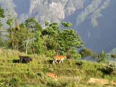 -萍乡武功山风景名胜区