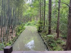 -同里国家湿地公园