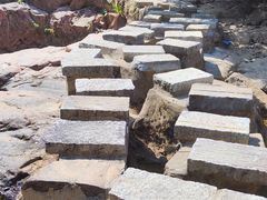 -广州白江湖森林公园