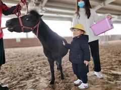 -宾果蒙特梭利托育儿童之家幼儿园(爱琴海店)