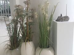 -三亚湾红树林度假世界(木棉酒店)