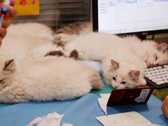 -美迦爱-牙专科·兔科·骨科诊疗中心(北苑店)