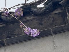 -苏州园林博物馆