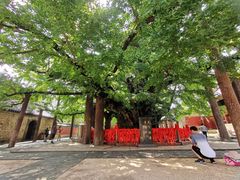 -浮来山风景区