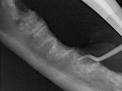 -惠康宠物医院(华能路店)