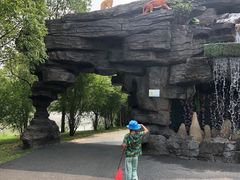 -自然谷恐龙园