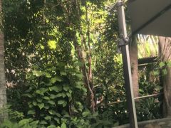 -碧水湾温泉