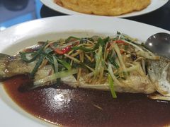 -光海鲜鱼翅餐厅(叻差拉披色路店)