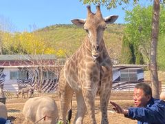 -大连森林动物园