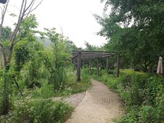 -龙寺生态园